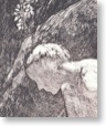 Riviere 1 detail2